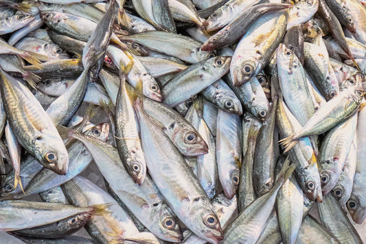 How Long Does It Take Omega 3 To Work?