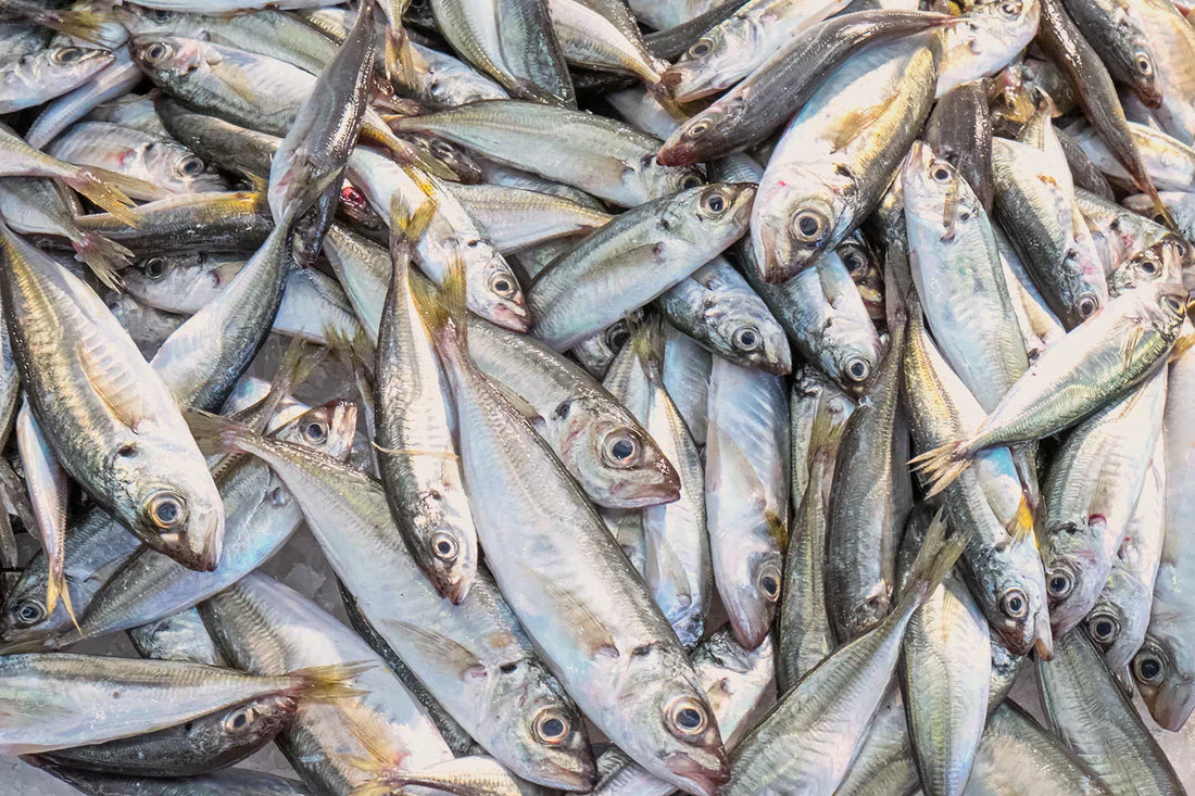 How Long Does It Take Omega 3 To Work?